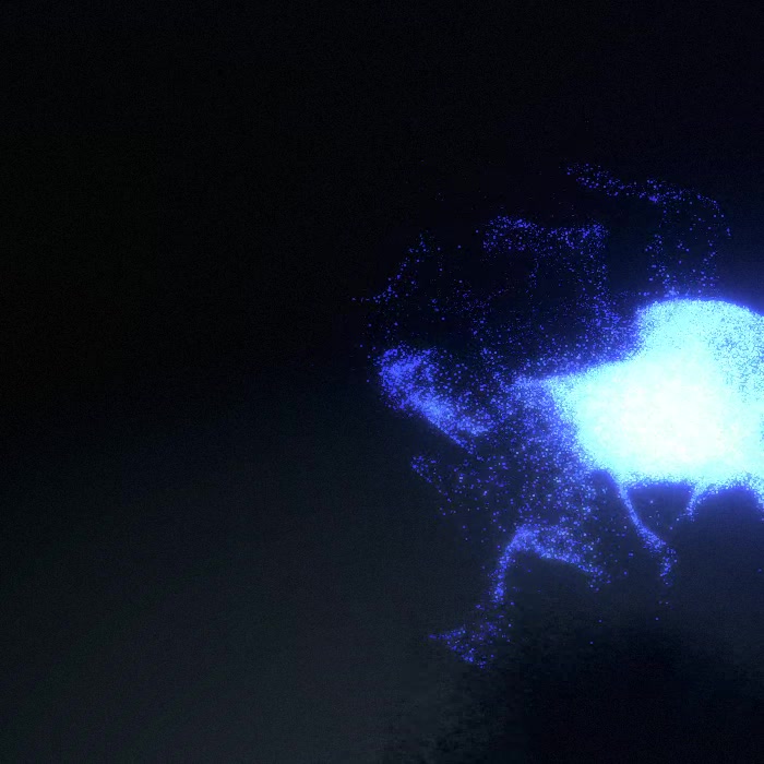 A swarm of light particles with shadows composed by Curl noise based GPGPU shaders computing position, velocity and shadows.